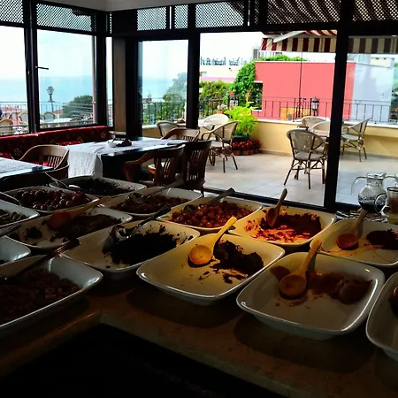 Hotel Alp 3*